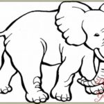 Gambar Gajah Sketsa Pensil
