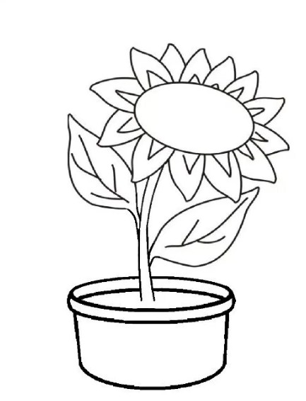 Gambar Sketsa Bunga Dengan Pot