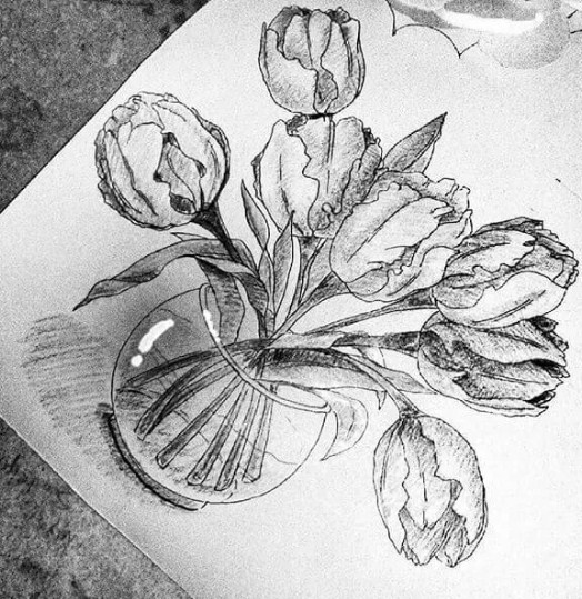 Gambar Sketsa Bunga Lili