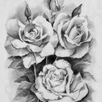 Gambar Sketsa Bunga Mawar Hitam