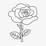 Gambar Sketsa Bunga Mawar Yang Gampang