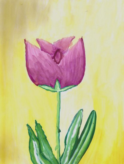 Gambar Sketsa Bunga Tulip Berwarna