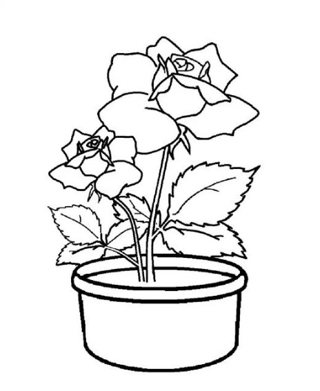 Gambar Sketsa Pot Bunga