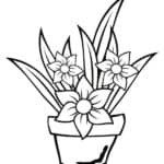 Gambar Sketsa Pot Dan Bunga