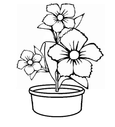 Sketsa Gambar Vas Bunga Dan Bunganya Kata Kata
