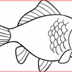 Sketsa Gambar Hewan Ikan Terbaru