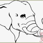 Sketsa Gambar Kepala Gajah