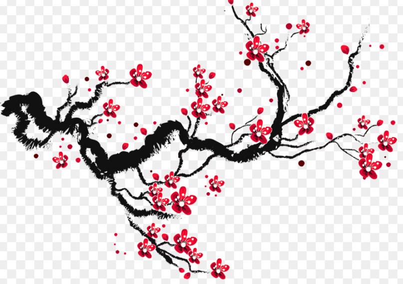Sketsa Gambar Pemandangan Bunga Sakura