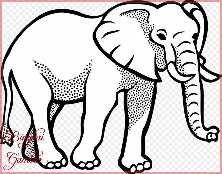Sketsa Hewan Gajah Terbaru