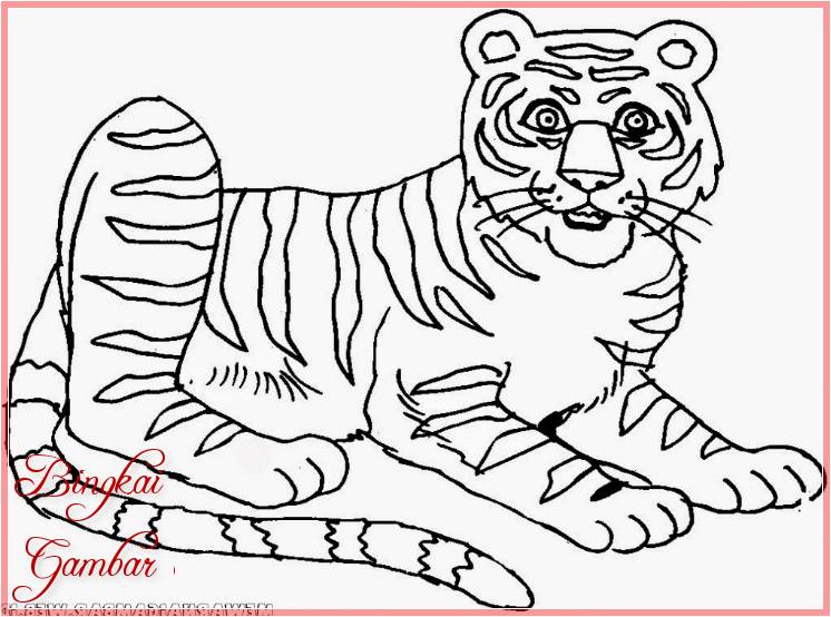 Sketsa Kartun Harimau