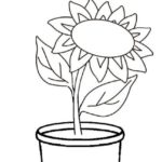 sketsa bunga matahari dalam pot