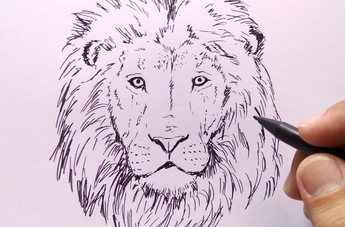 Gambar Sketsa Kepala Singa