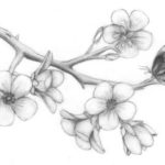 Sketsa Lukisan Bunga Melati
