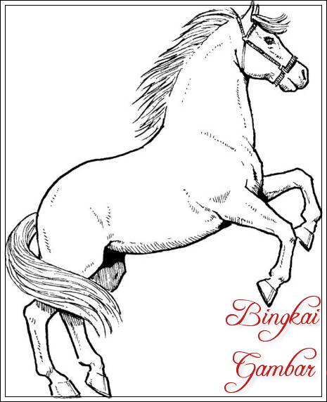 Gambar Sketsa Fauna Kuda