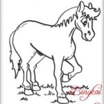 Gambar Sketsa Kuda Dan Keledai