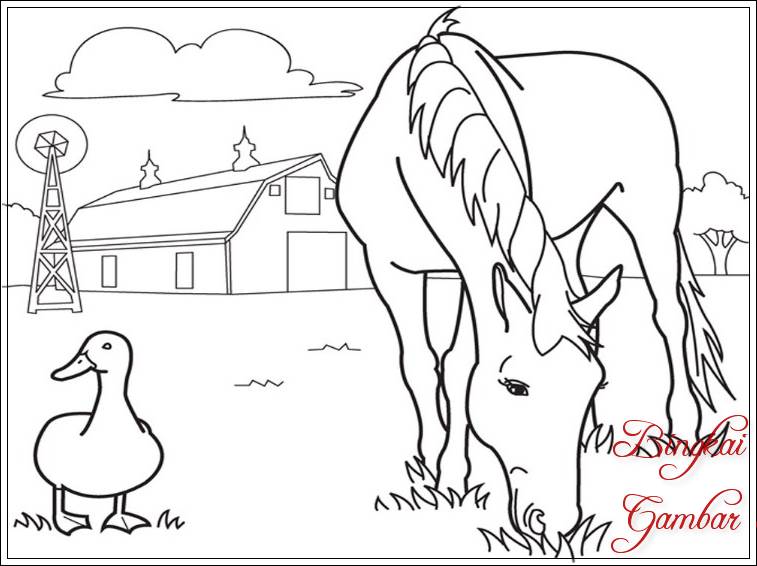 Gambar Sketsa Kuda Makan Rumput