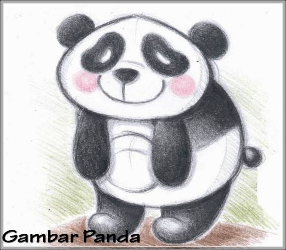 Sketsa Gambar Binatang Panda
