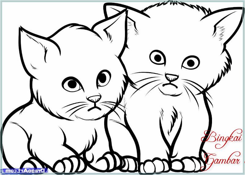 Gambar Kucing Sketsa Pensil