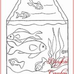 Gambar Sketsa Ikan Akuarium