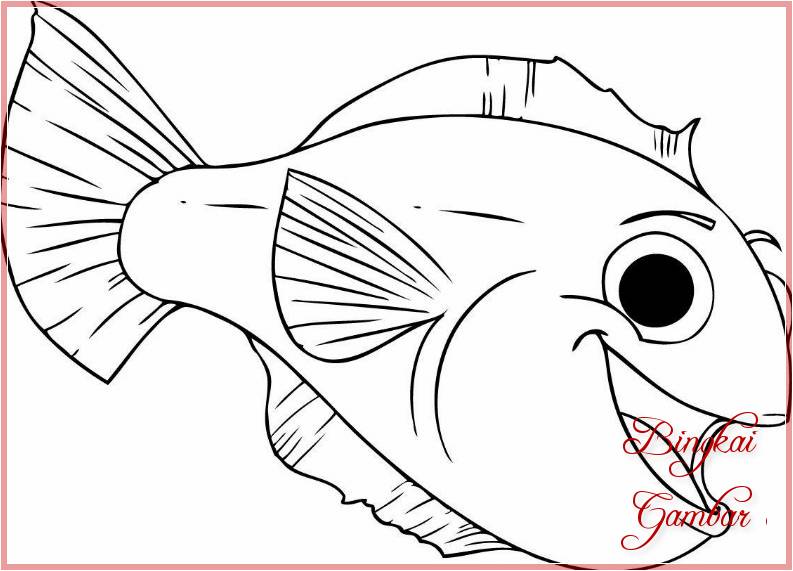 Gambar Sketsa Ilustrasi Ikan