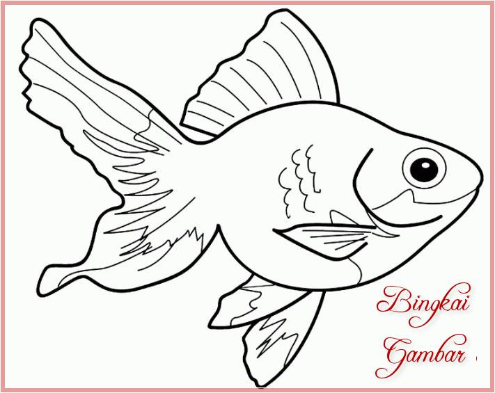 Gambar Sketsa Kartun Ikan