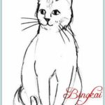 Sketsa Gambar Kucing Hitam Putih