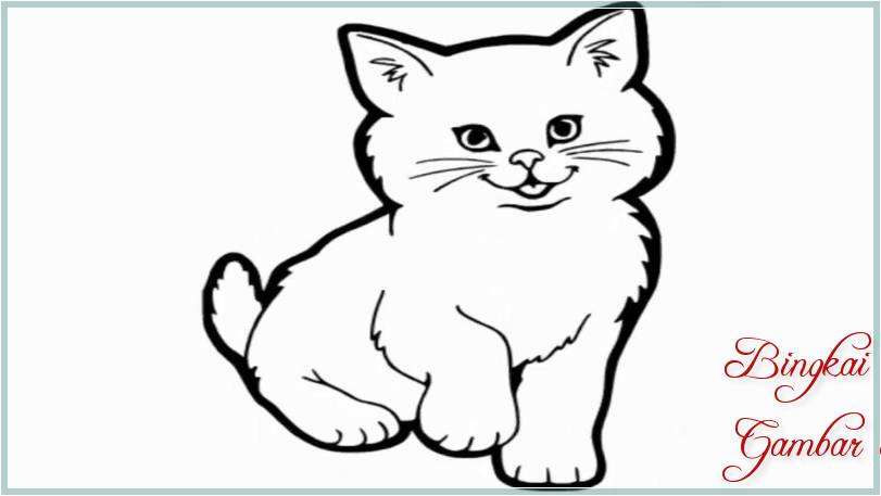 Sketsa Hewan Kucing Anggora