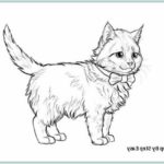Sketsa Kucing Untuk Diwarnai