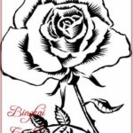 Gambar Bunga Mawar Sederhana