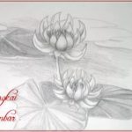 Gambar Bunga Sederhana Menggunakan Pensil