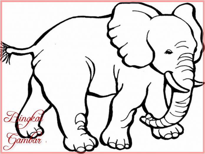 Gambar Kartun Binatang Gajah