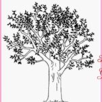 Gambar Sketsa Pohon Jeruk Terbaru