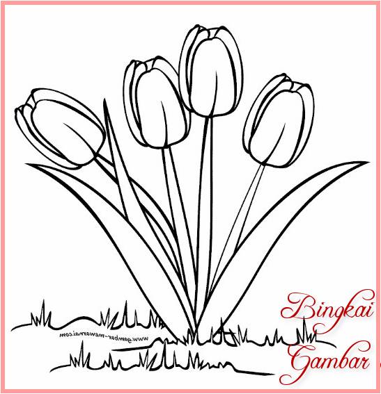 Sketsa Bunga Tulip Sederhana