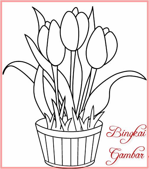 Sketsa Gambar Bunga Tulip