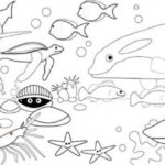 Gambar Sketsa Hewan Dalam Laut