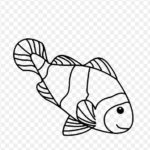 Gambar Sketsa Ikan Badut