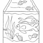 Gambar Sketsa Ikan Dalam Akuarium