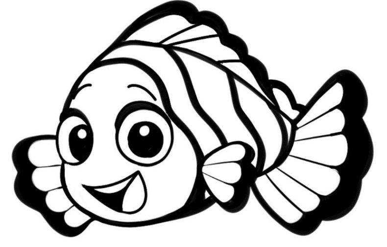 Gambar Sketsa Ikan Nemo